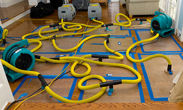 Professional Burst Pipe Water Damage technician working in South Bloomingville, OH